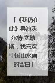 《我仍在此》导演沃尔特·塞勒斯：我喜欢中国山水画的留白