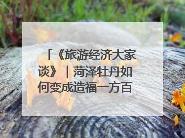 《旅游经济大家谈》｜菏泽牡丹如何变成造福一方百姓的“产业之花”“富民之花”？