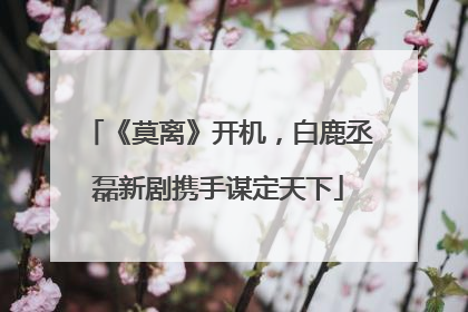 《莫离》开机，白鹿丞磊新剧携手谋定天下