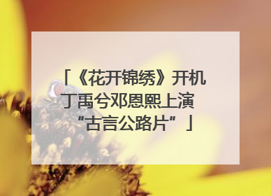《花开锦绣》开机 丁禹兮邓恩熙上演“古言公路片”