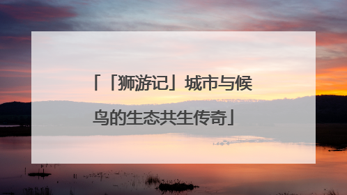 「狮游记」城市与候鸟的生态共生传奇