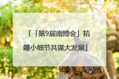 「第9届南博会」精雕小细节共谋大发展