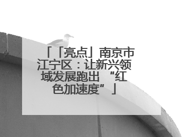 「亮点」南京市江宁区：让新兴领域发展跑出 “红色加速度”