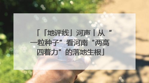 「地评线」河声丨从“一粒种子”看河南“两高四着力”的落地生根