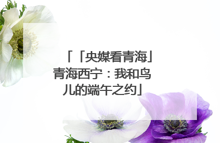 「央媒看青海」青海西宁：我和鸟儿的端午之约