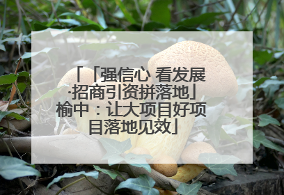 「强信心 看发展·招商引资拼落地」榆中：让大项目好项目落地见效