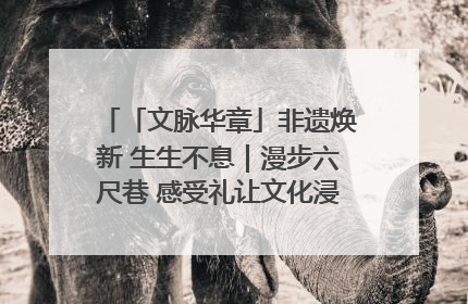「文脉华章」非遗焕新 生生不息｜漫步六尺巷 感受礼让文化浸润的“巷”往生活
