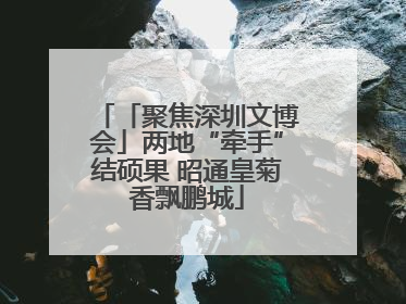「聚焦深圳文博会」两地“牵手”结硕果 昭通皇菊香飘鹏城
