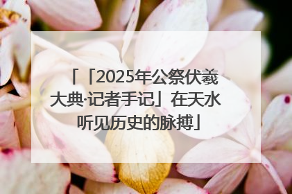 「2025年公祭伏羲大典·记者手记」在天水 听见历史的脉搏