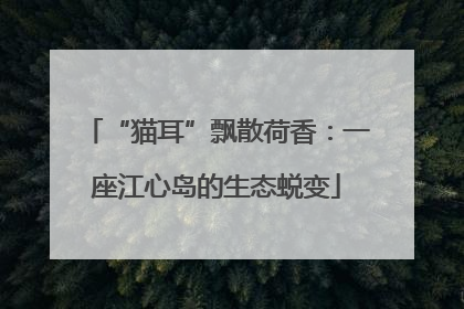 “猫耳”飘散荷香：一座江心岛的生态蜕变