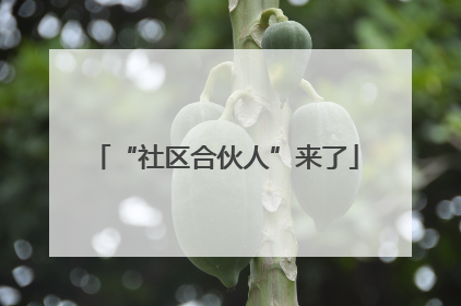 “社区合伙人”来了
