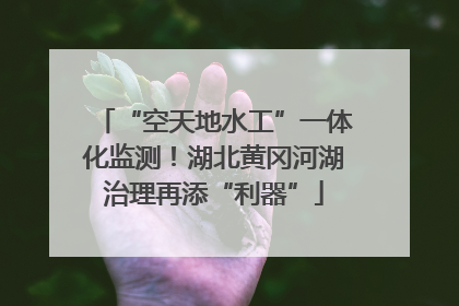 “空天地水工”一体化监测！湖北黄冈河湖治理再添“利器”