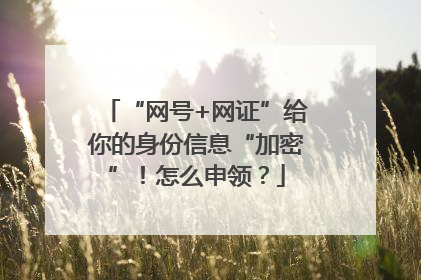 “网号+网证”给你的身份信息“加密”！怎么申领？
