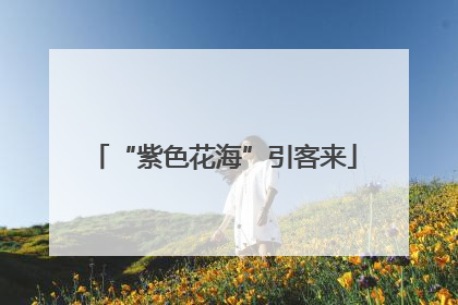 “紫色花海”引客来