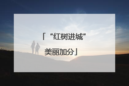 “红树进城” 美丽加分