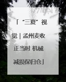 “三夏”视觉｜孟州麦收正当时 机械减损保归仓