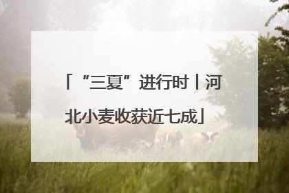 “三夏”进行时丨河北小麦收获近七成
