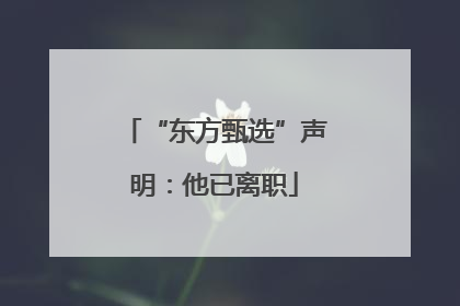 “东方甄选”声明：他已离职