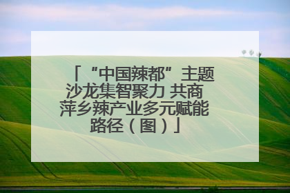 “中国辣都”主题沙龙集智聚力 共商萍乡辣产业多元赋能路径（图）