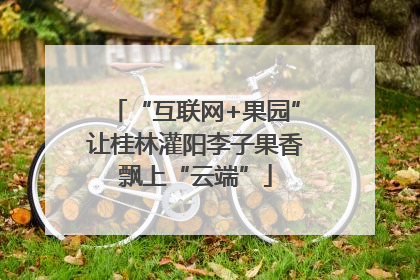 “互联网+果园”让桂林灌阳李子果香飘上“云端”