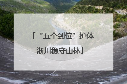 “五个到位”护体 淅川稳守山林