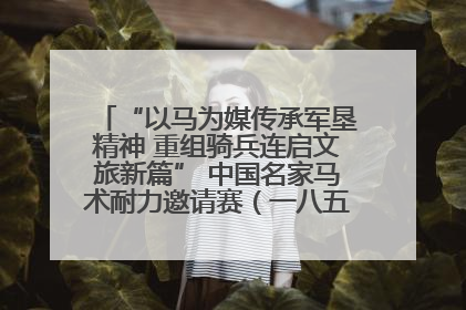 “以马为媒传承军垦精神 重组骑兵连启文旅新篇” 中国名家马术耐力邀请赛（一八五团站）暨重启骑兵连活动正式启动