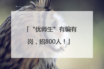 “优师生”有编有岗，招800人！