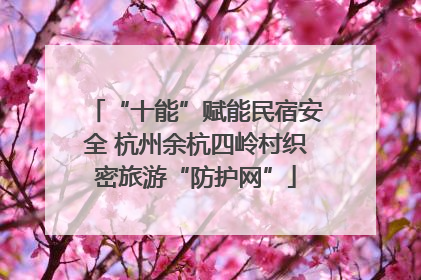 “十能”赋能民宿安全 杭州余杭四岭村织密旅游“防护网”