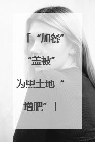 “加餐”“盖被” 为黑土地“增肥”