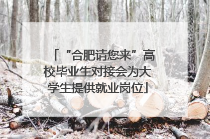 “合肥请您来”高校毕业生对接会为大学生提供就业岗位