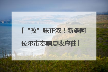 “孜”味正浓！新疆阿拉尔市奏响夏收序曲