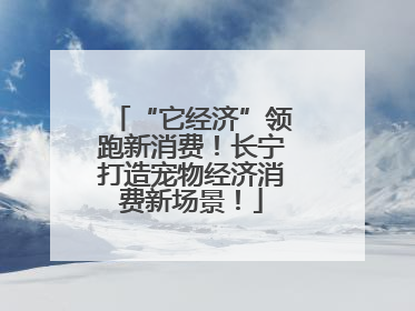 “它经济”领跑新消费！长宁打造宠物经济消费新场景！