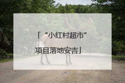 “小红村超市”项目落地安吉