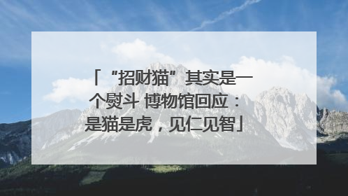 “招财猫”其实是一个熨斗 博物馆回应：是猫是虎，见仁见智