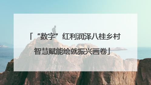 “数字”红利润泽八桂乡村 智慧赋能绘就振兴画卷