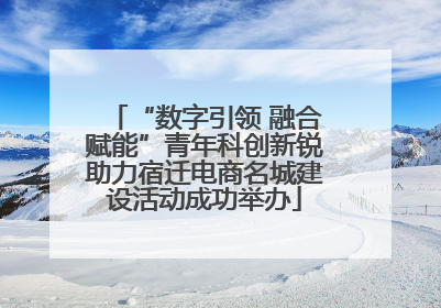 “数字引领 融合赋能”青年科创新锐助力宿迁电商名城建设活动成功举办