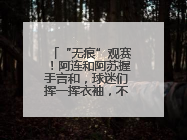 “无痕”观赛！阿连和阿苏握手言和，球迷们挥一挥衣袖，不留下一片云彩