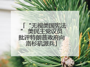 “无视美国宪法” 美民主党议员批评特朗普政府向洛杉矶派兵