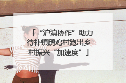 “沪滇协作”助力待补镇鹧鸡村跑出乡村振兴“加速度”