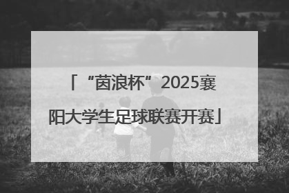 “茵浪杯”2025襄阳大学生足球联赛开赛