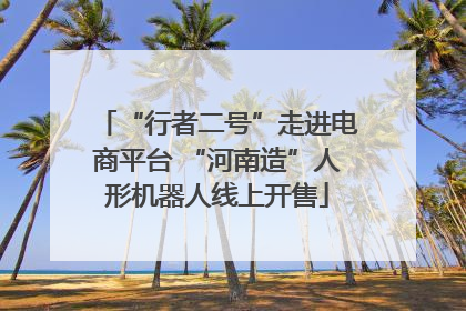 “行者二号”走进电商平台 “河南造”人形机器人线上开售
