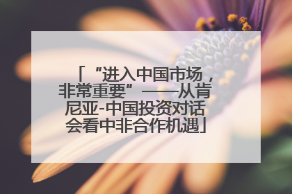 “进入中国市场，非常重要”——从肯尼亚-中国投资对话会看中非合作机遇