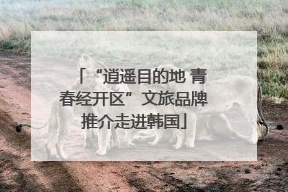 “逍遥目的地 青春经开区”文旅品牌推介走进韩国
