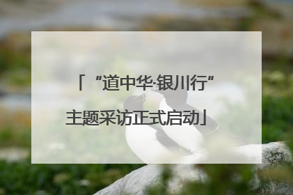 “道中华·银川行”主题采访正式启动