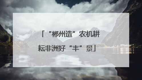 “郴州造”农机耕耘非洲好“丰”景