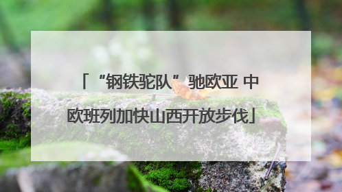 “钢铁驼队”驰欧亚 中欧班列加快山西开放步伐