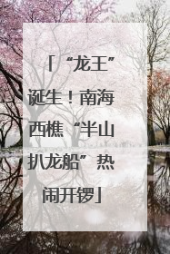 “龙王”诞生！南海西樵“半山扒龙船”热闹开锣