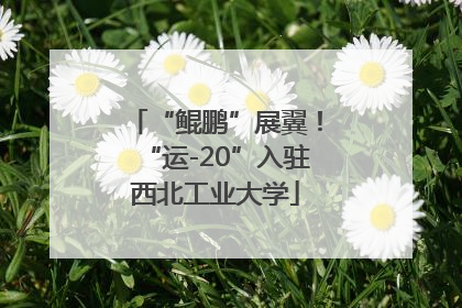 “鲲鹏”展翼！“运-20”入驻西北工业大学