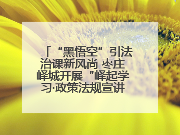 “黑悟空”引法治课新风尚 枣庄峄城开展“峄起学习·政策法规宣讲面对面”活动