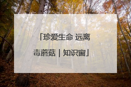 珍爱生命 远离毒蘑菇｜知识窗